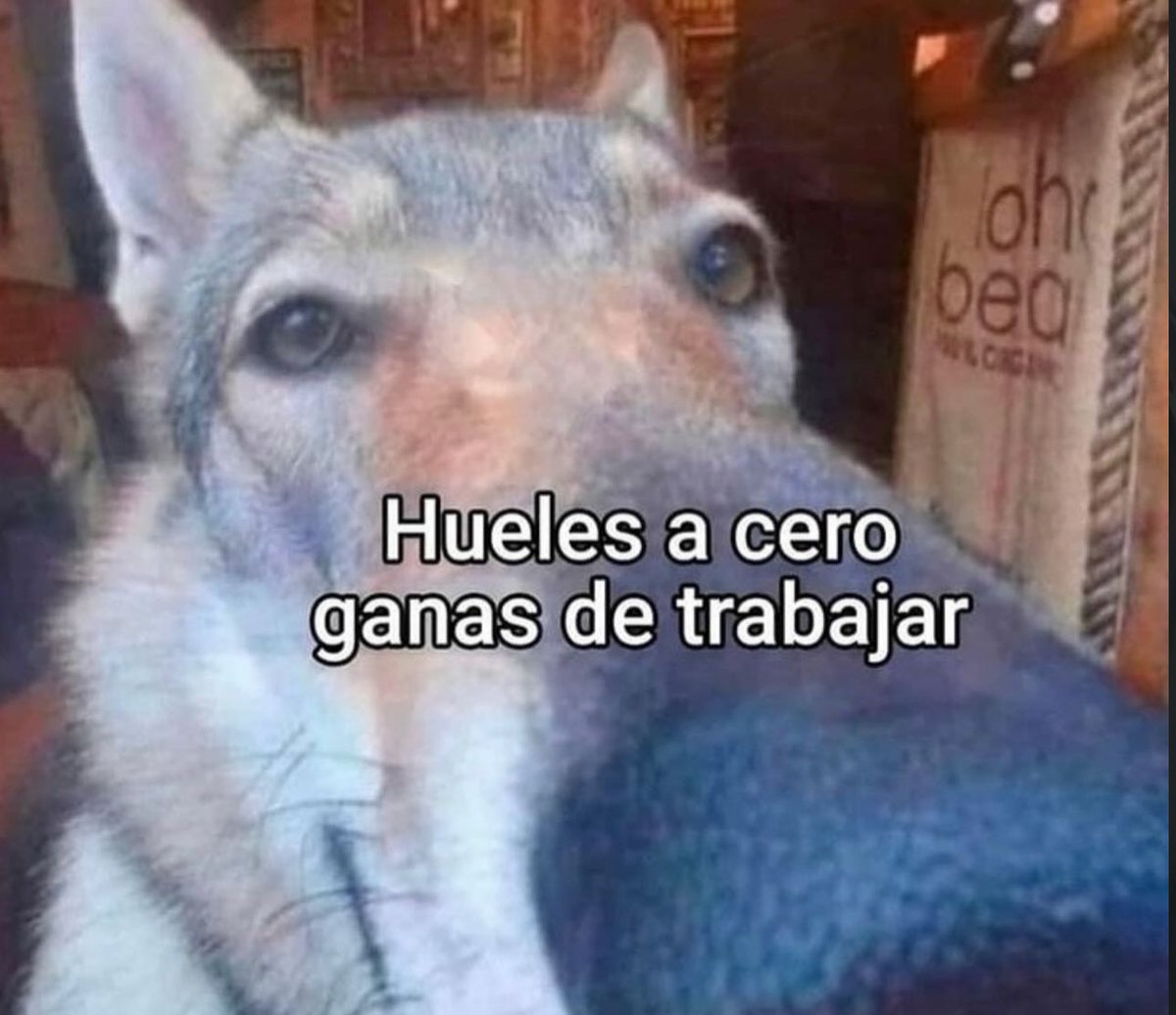 Feliz inicio de semana