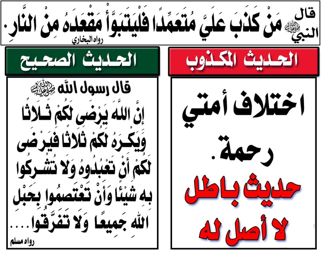 ALAA ELKANANY tweet media