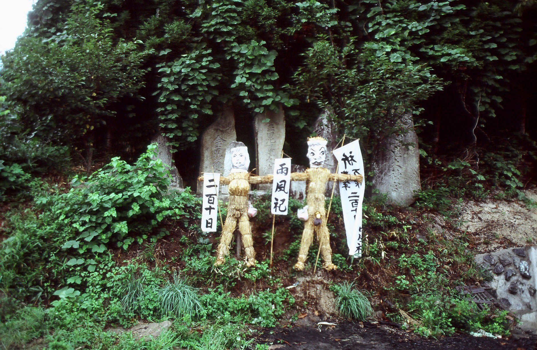 遠野市立博物館 on X: 