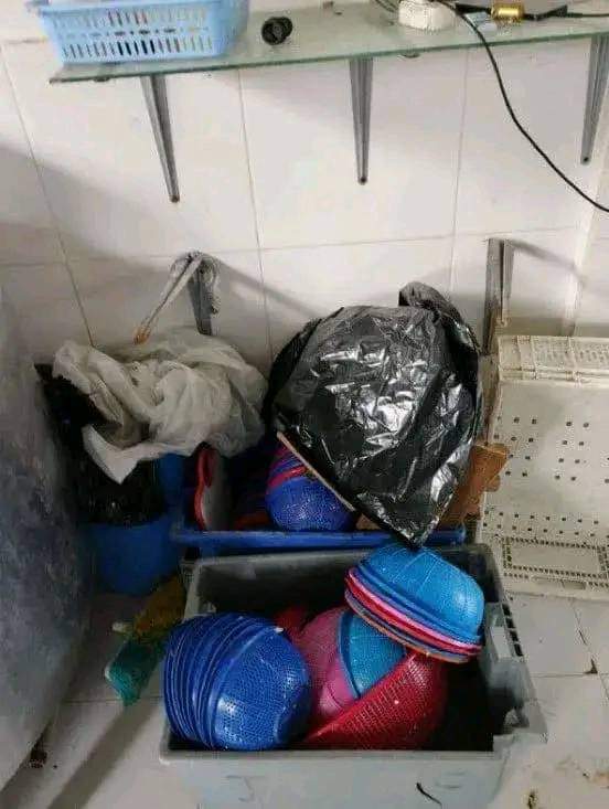 NuevoTiempoCue's tweet photo. 🔴#ATENCIÓN 😱
Una planta de #lácteos en #Quimiag, #Chimborazo, fue #clausurada por la #ARCSA por graves problemas sanitarios, como equipos oxidados, mal almacenamiento de materia prima y encontraron una #serpiente junto al producto terminado. https://t.co/TnmxF0DmHT