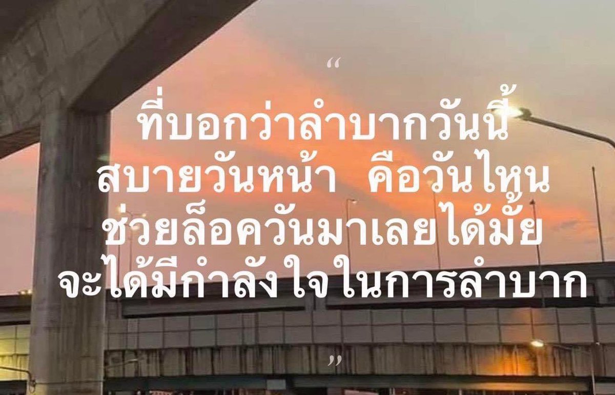 sutiฯ tweet media