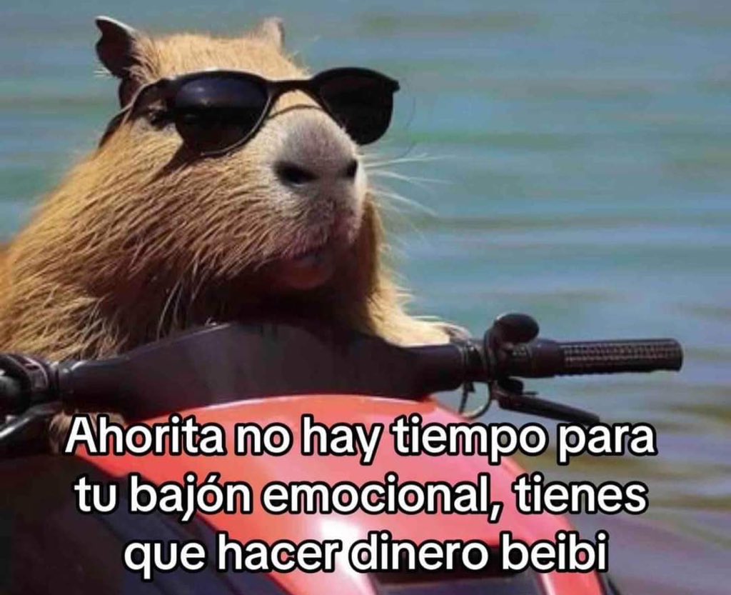 2.500❤️🔄🗯️ Y HAGO UN RETO GRATIS $1,600 a $100,000 ALV

Ya me cansé de ganar tantos retos, quiero algo más en grande! Si tú bank es menor hazlo $160 a $10,000

Todavía ni empieza y ya estoy viendo en que gastaré las ganancias 🤤

Si no llega, se los enviaré a los que den RT 🔄