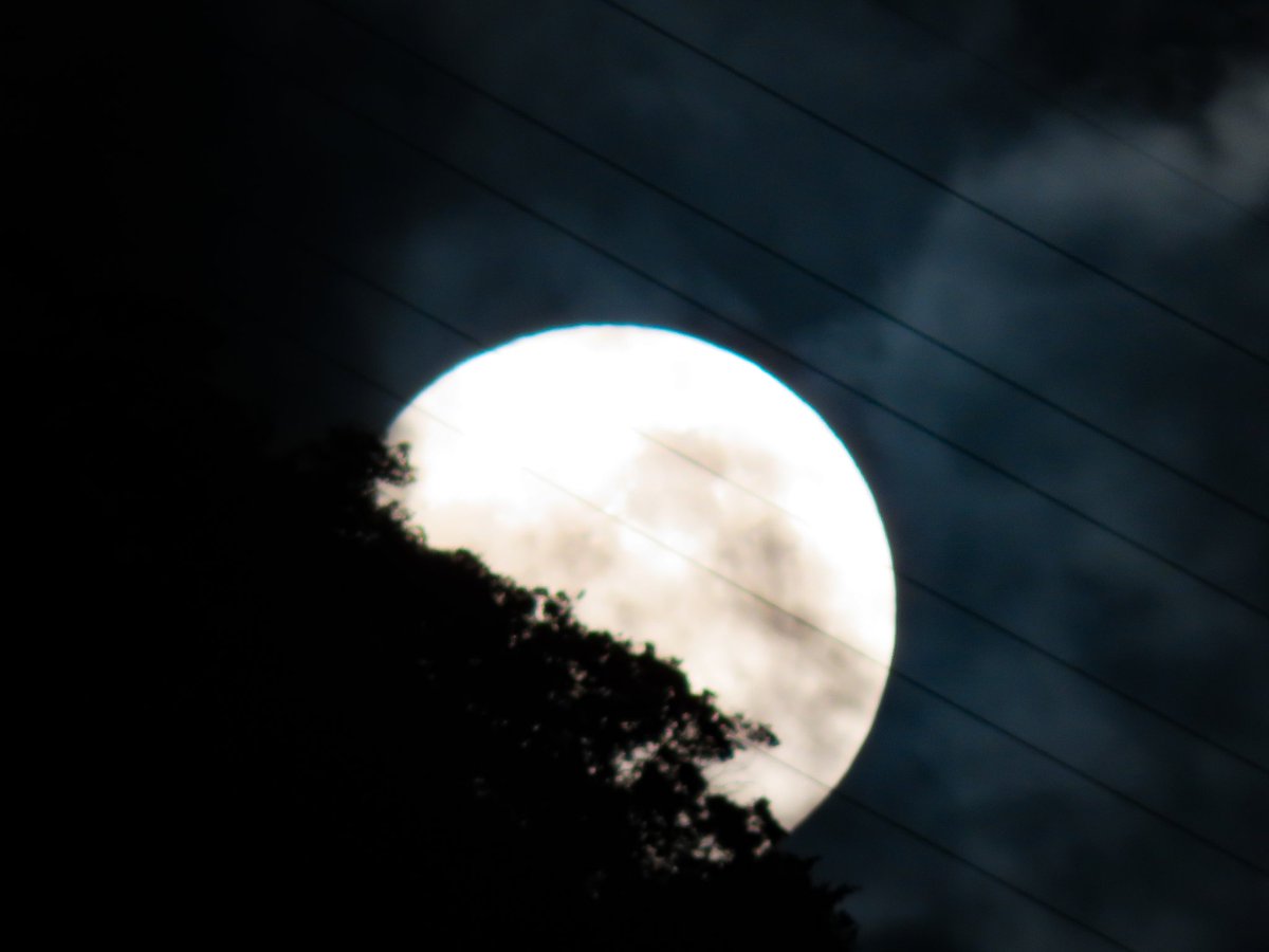 Tibunando's tweet photo. Difícil La doña anoche #superluna #superluna #fullmoon #plenilunio #luna #azul #moonblue #caracas #Venezuela https://t.co/YJtYm6FlYG