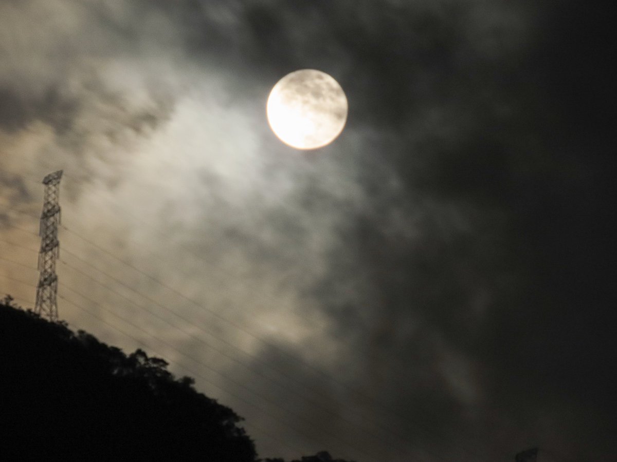 Tibunando's tweet photo. Difícil La doña anoche #superluna #superluna #fullmoon #plenilunio #luna #azul #moonblue #caracas #Venezuela https://t.co/YJtYm6FlYG