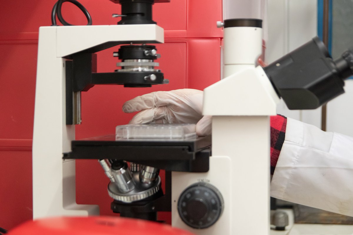 Ubatec SA tweet media