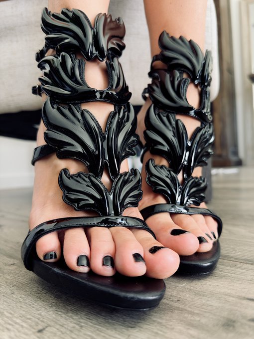 now get on your hands and knees and beg Me to destroy your life 💸 https://t.co/5pPNekpJb0