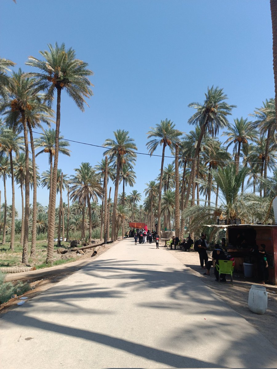 بر عرش سوارش بکنی روز قیامت
هرکس طرفت امده یک گام پیاده