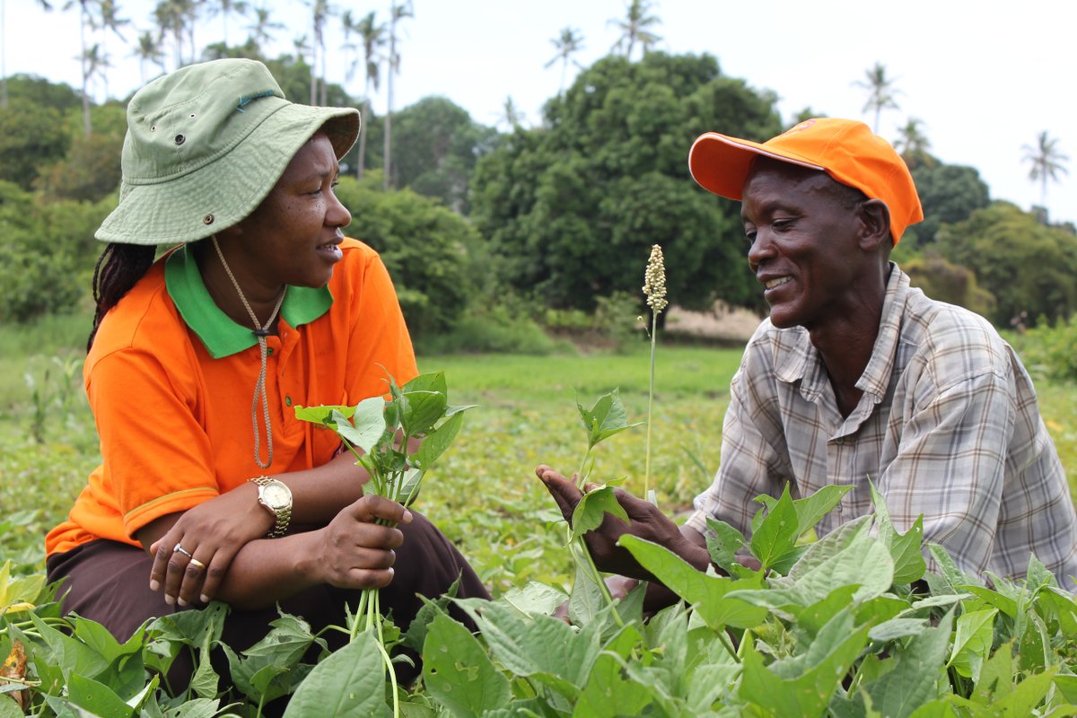 How is empowering women connected to a climate-resilient agrifood system? 

Explore the CGIAR #GenderEquality Initiative's new report on strategies to tackle social and cultural barriers in agrifood systems in Tanzania and Nigeria. 

Read it here: on.cgiar.org/4fR79xD