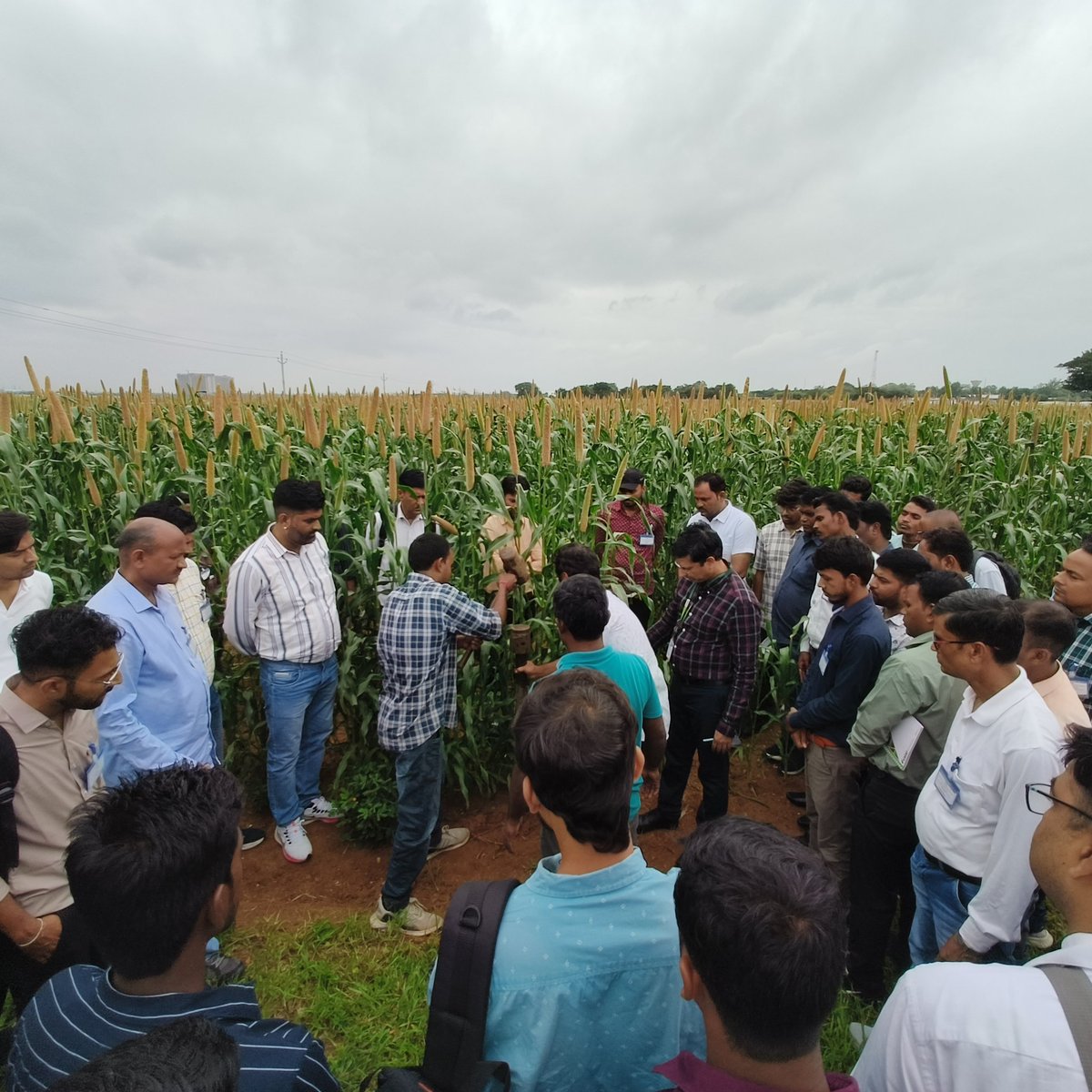 Over 80 scientific staff from five different states and project locations participated recently in a three-day training and exposure visit at ICRISAT headquarters. This event offered a valuable opportunity for cross-learning and collaboration.