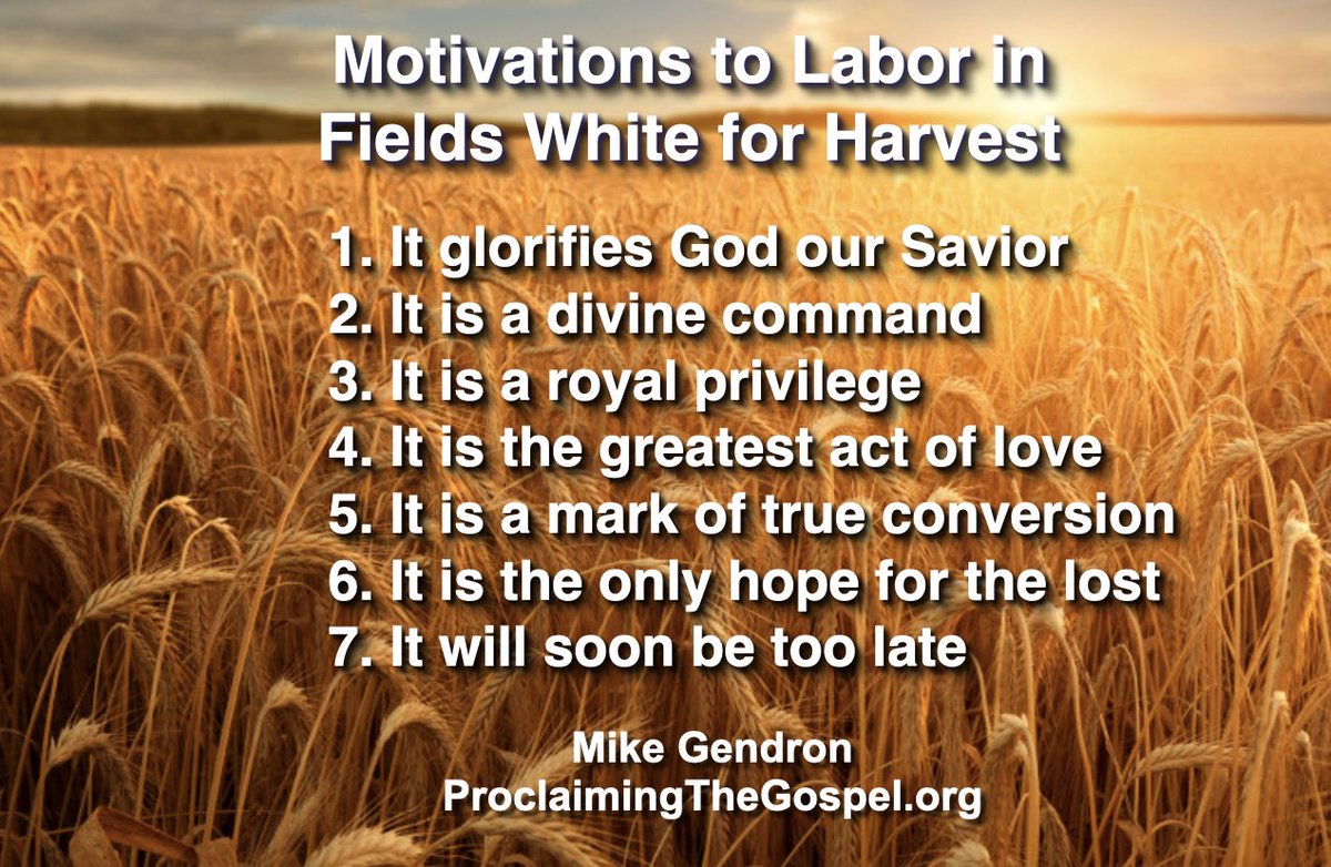 MikeGendro51608's tweet photo. @ProGospel The primary reason our Sovereign Lord leaves us here after we are born again is to populate heaven by proclaiming the Gospel to those who are perishing. May we all be more faithful to the Great Commission. https://t.co/BlL3XlKVky