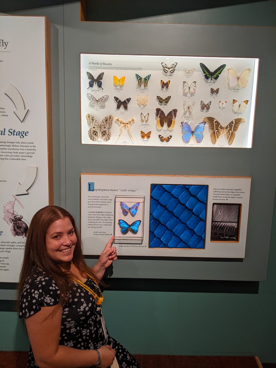 NoaYisel's tweet image. And there is always time for a #NightatTheMuseum to spend time with our @ACSPHYSDivision fellows. #ACSFall2024 @DenverMuseumNS