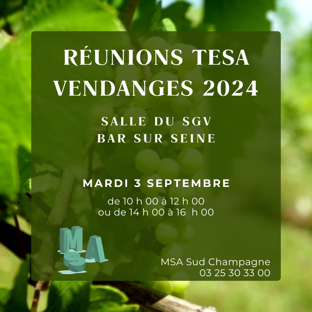 MSA Sud Champagne tweet media
