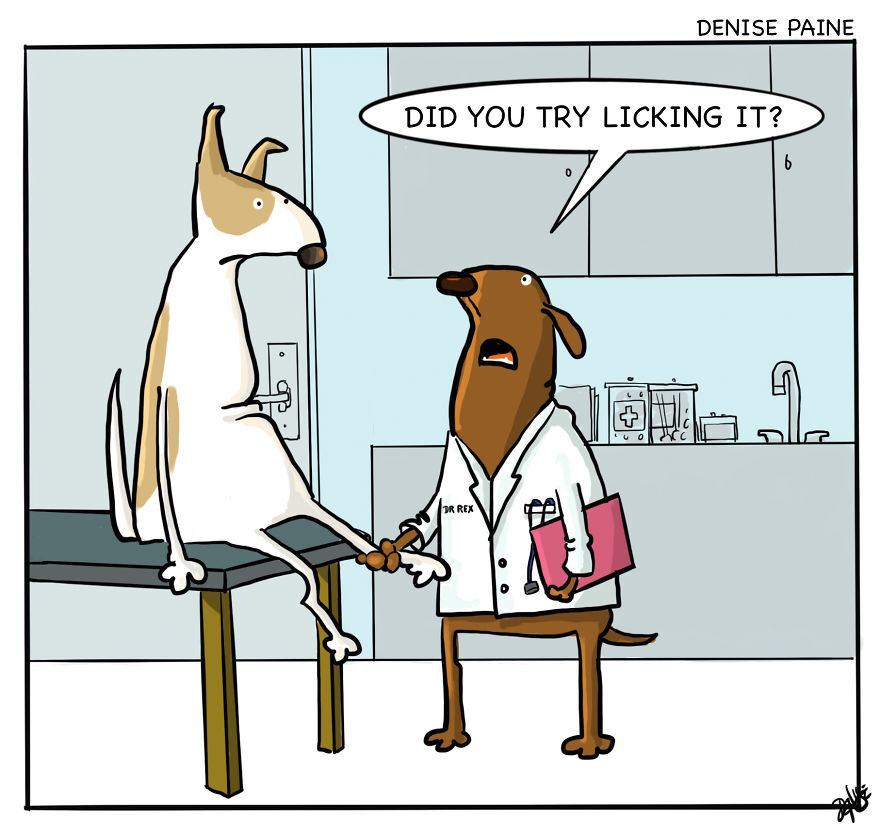 K9OfMine's tweet photo. Advice from a medical professional! https://t.co/r2xcQliUlp