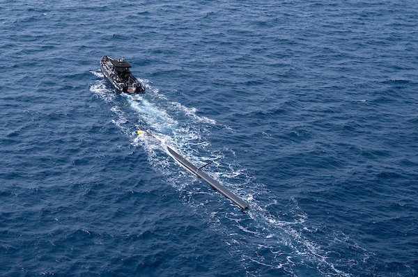 Alec Wilkinson tweet media