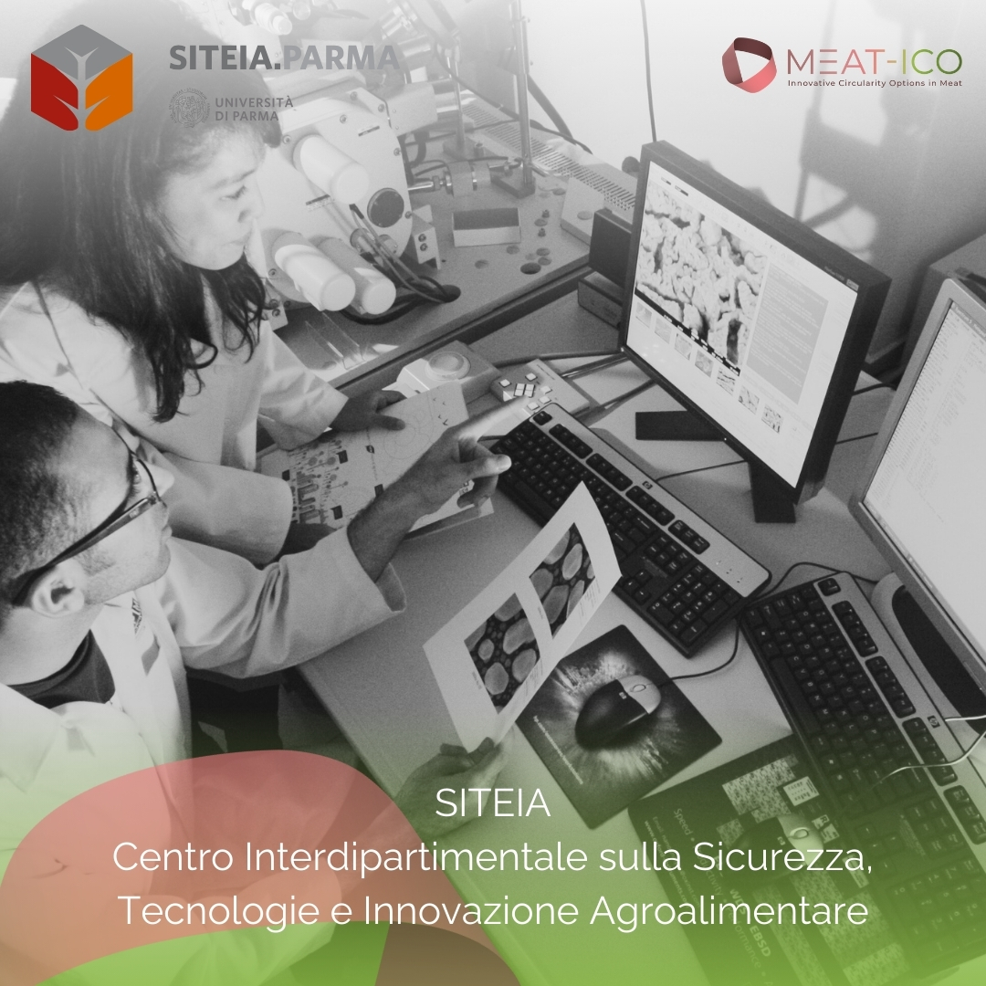 meat_ico's tweet photo. SITEIA.PARMA: Sicurezza, Tecnologie e Innovazione Agroalimentare di UNIPR. Per Meat-ico trasforma scarti in energia. #economiacircolare #prosciutto #meat-ico #biochar #riciclorifiuti @unicatt @unipr.it #leap #ssica #siteia @cotto_capitelli #salumificiofratelliTanzi #agrosistemi https://t.co/B7697FN2Vp