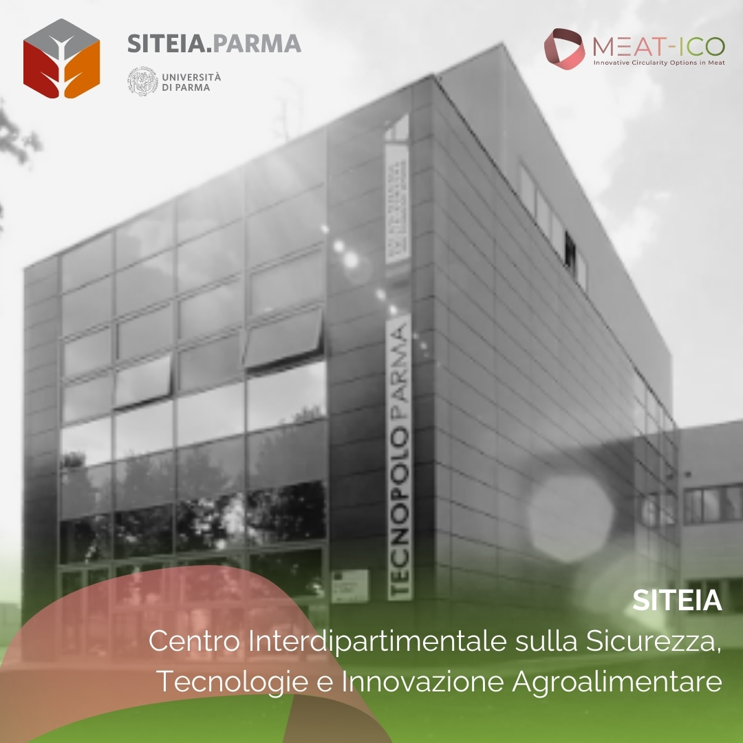 meat_ico's tweet photo. SITEIA.PARMA: Sicurezza, Tecnologie e Innovazione Agroalimentare di UNIPR. Per Meat-ico trasforma scarti in energia. #economiacircolare #prosciutto #meat-ico #biochar #riciclorifiuti @unicatt @unipr.it #leap #ssica #siteia @cotto_capitelli #salumificiofratelliTanzi #agrosistemi https://t.co/B7697FN2Vp