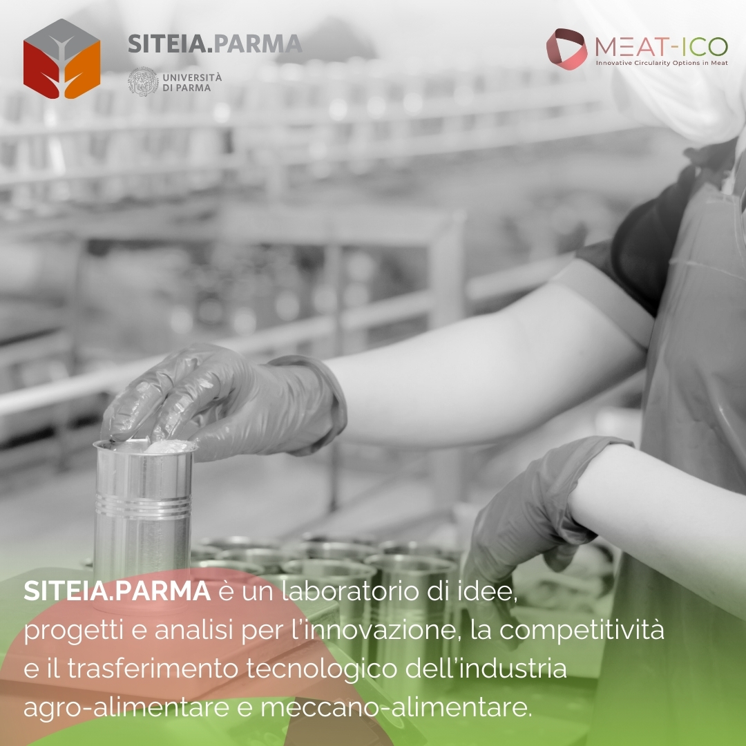 meat_ico's tweet photo. SITEIA.PARMA: Sicurezza, Tecnologie e Innovazione Agroalimentare di UNIPR. Per Meat-ico trasforma scarti in energia. #economiacircolare #prosciutto #meat-ico #biochar #riciclorifiuti @unicatt @unipr.it #leap #ssica #siteia @cotto_capitelli #salumificiofratelliTanzi #agrosistemi https://t.co/B7697FN2Vp