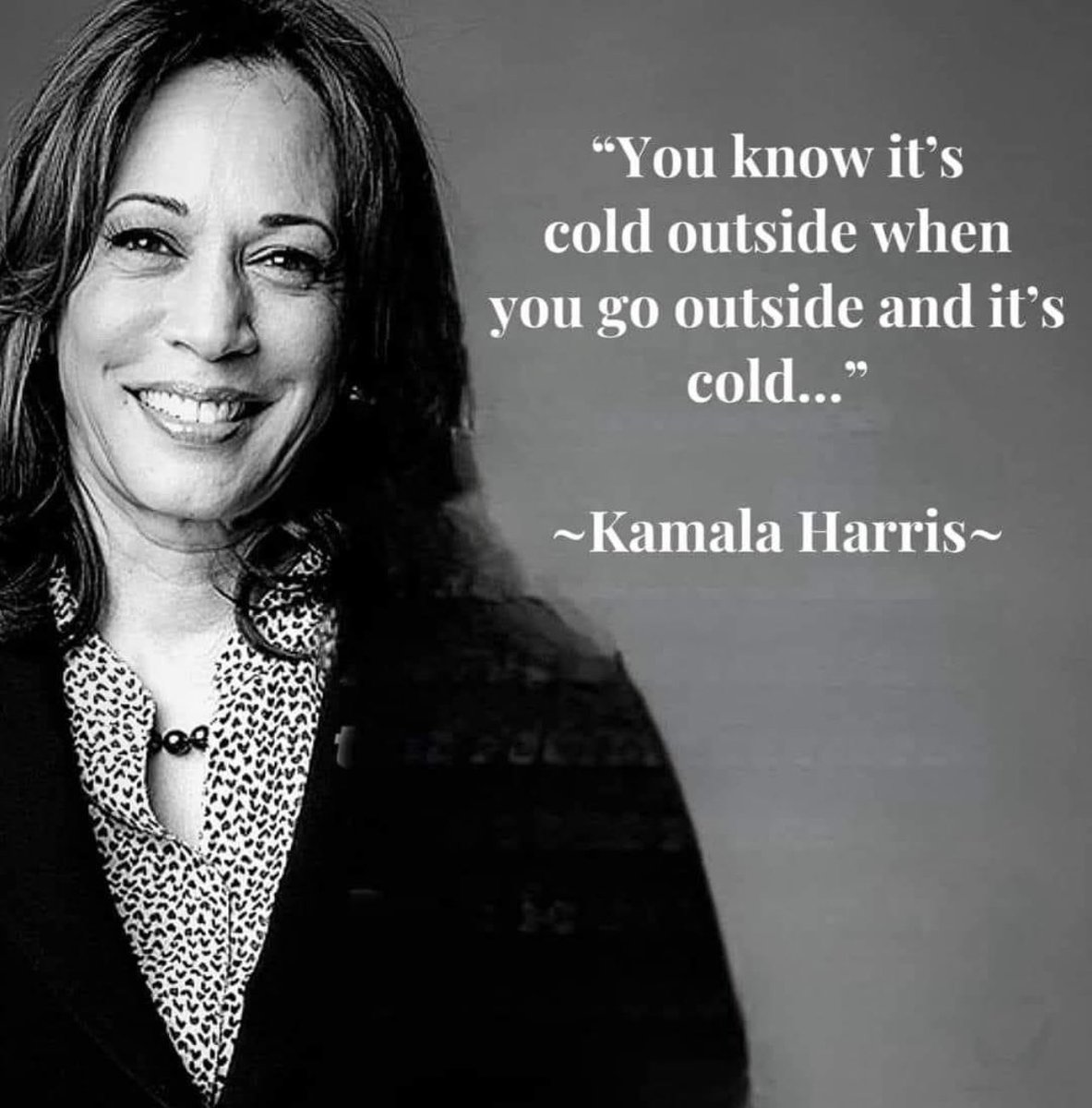 1NJConservative's tweet image. And the left wants this moron to be President..?
WTF!