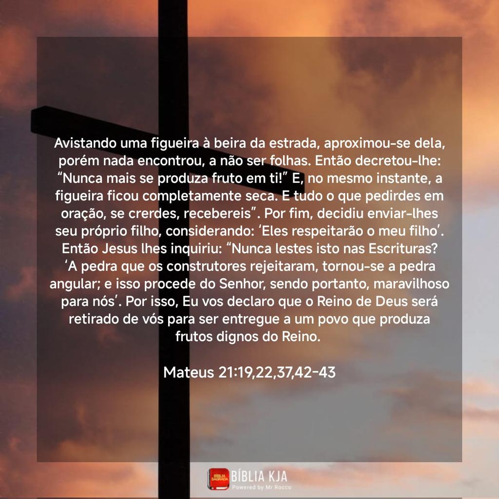 Jeanbsilva's tweet photo. Se não cumprirmos o propósito para o qual fomos criados, qual motivo de nossa existência? A rejeição e incredulidade irão afastar muitos do seu objetivo final. #rpsp #Mat21 https://t.co/p9QWI3d4Kw