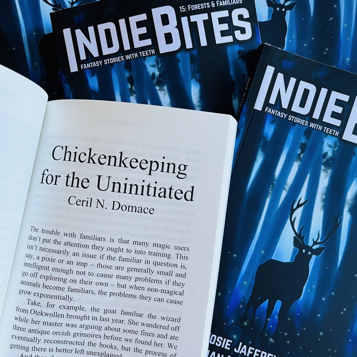 The problem started with Sweet Potato, our very own horse-sized housecat, and continued with a familiar one of our patrons brought in, a chicken named Pietro. At least, its owners said it was a chicken.
Chickenkeeping for the Uninitiated by Ceril N. Domace
silversunbooks.com/post/forests-f…