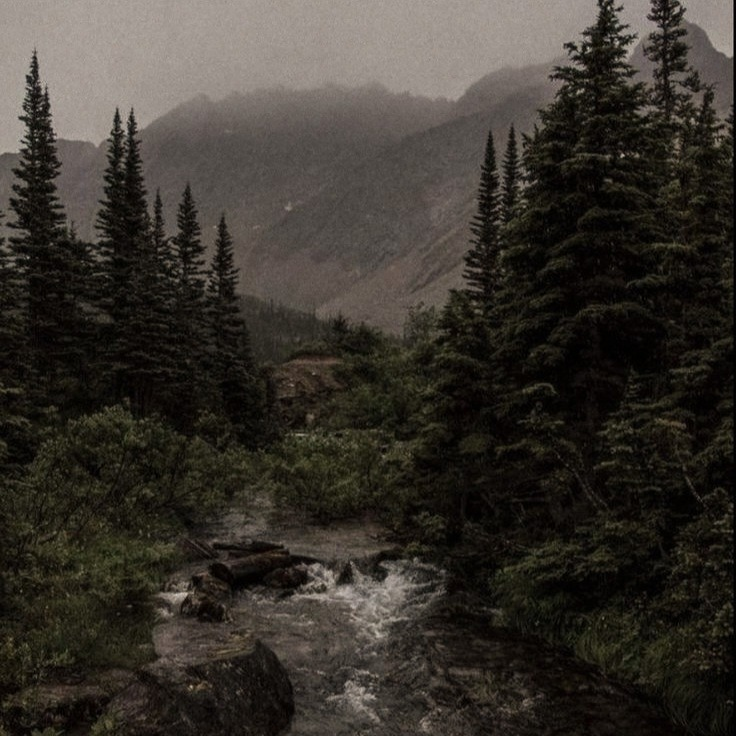 artindetails's tweet photo. — misty mountain https://t.co/NrWR58EHI2