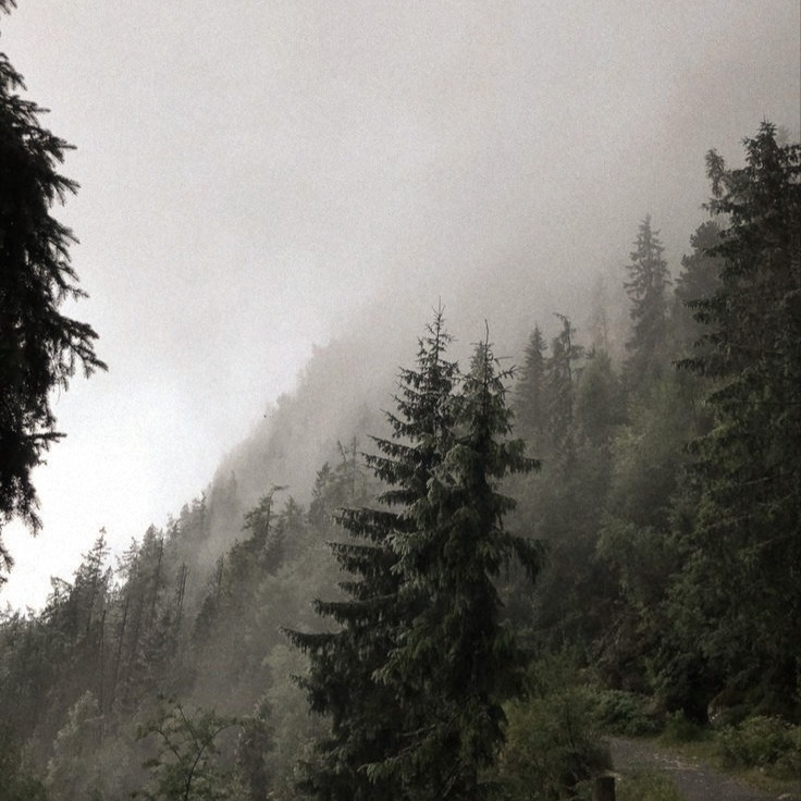 artindetails's tweet photo. — misty mountain https://t.co/NrWR58EHI2