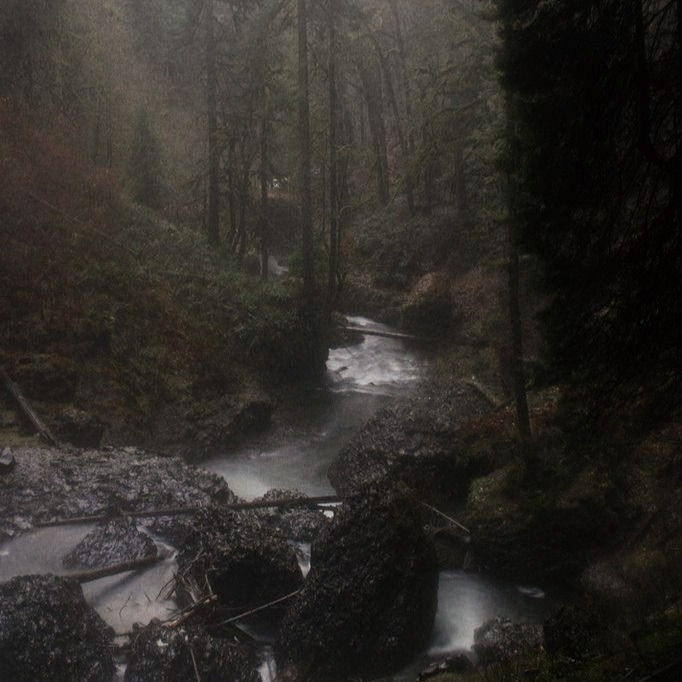 — misty mountain