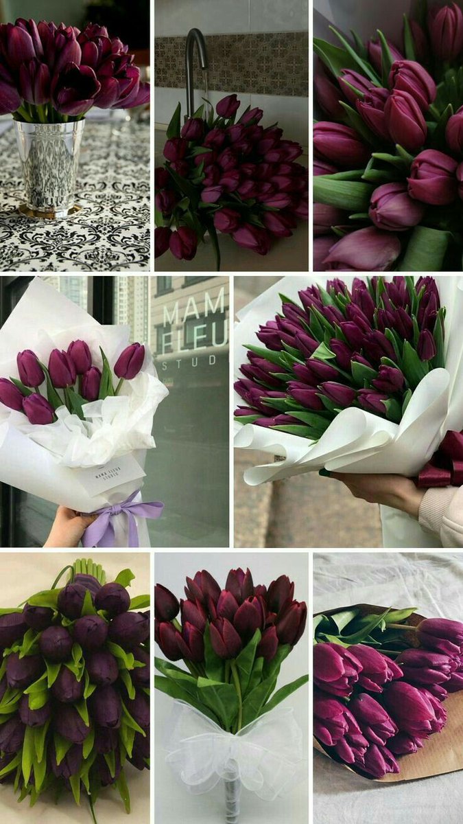 nothingmoment_'s tweet photo. Tulips https://t.co/FpchBF8LwQ