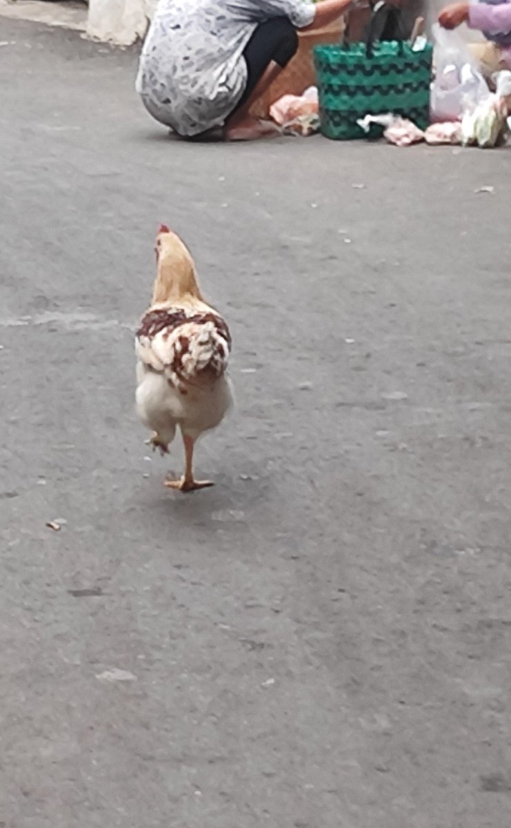 me llamo dary tweet media