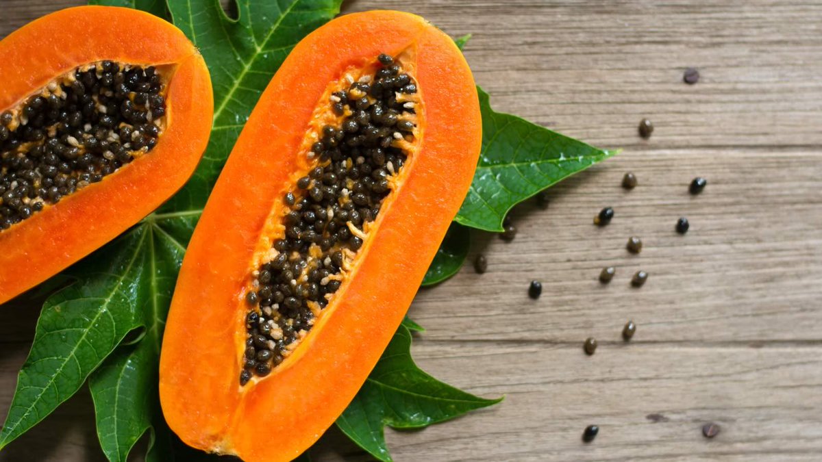 HerbalistChief's tweet photo. Taking two (2) tablespoons of dried pawpaw seeds with hot water for a day can make a man sterile for 90 days.

The sterility reverses after the 90 days period. https://t.co/QY9kbyt4Ha