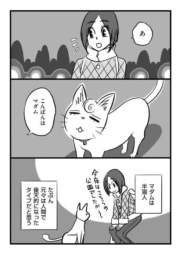 (3/5)🍪🧀🐟🍙🐈🌙 