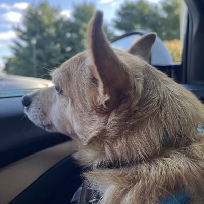 General Levon (@GeneralLevon) / Posts / X