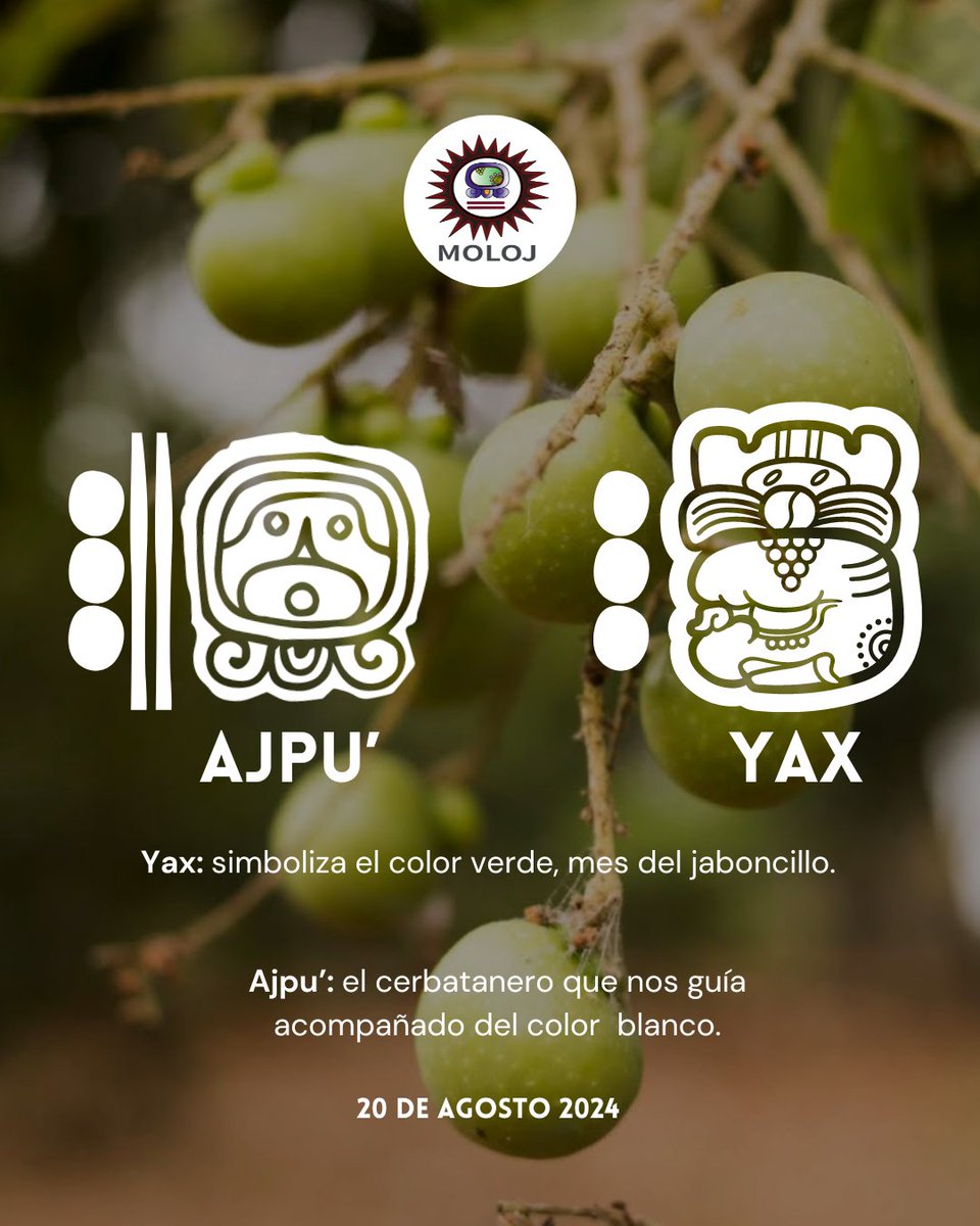 asociacionmoloj's tweet photo. #Ajpu 🤍 | Todos los días el abuelo Ajpu' nos da la bienvenida con el cálido Sol y su energía de vida.🔥☀️
#sol #vida #abuelo #EspiritualidadMaya https://t.co/th74zfN7qY