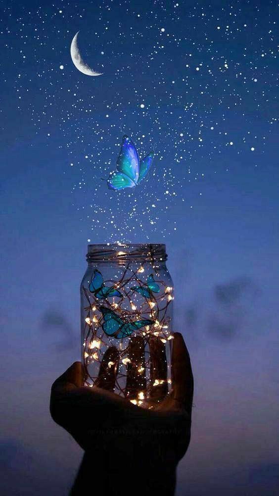 HSheydaei's tweet image. «هر چیزی وقت خودش رو میخواد؛ نه گل قبل از وقتش شکوفه میزنه؛ نه خورشید قبل از وقتش غروب میکنه؛ نه پروانه قبل از وقتش از پیله رها میشه؛ منتظر بمون. هر آنچه که نیاز داری در زمان درستش ب تو می رسه!»
من چند بار این جمله رو توی زندگیم با همه وجود حس کردم.. :)
$ZENT @Zentry #Zentry