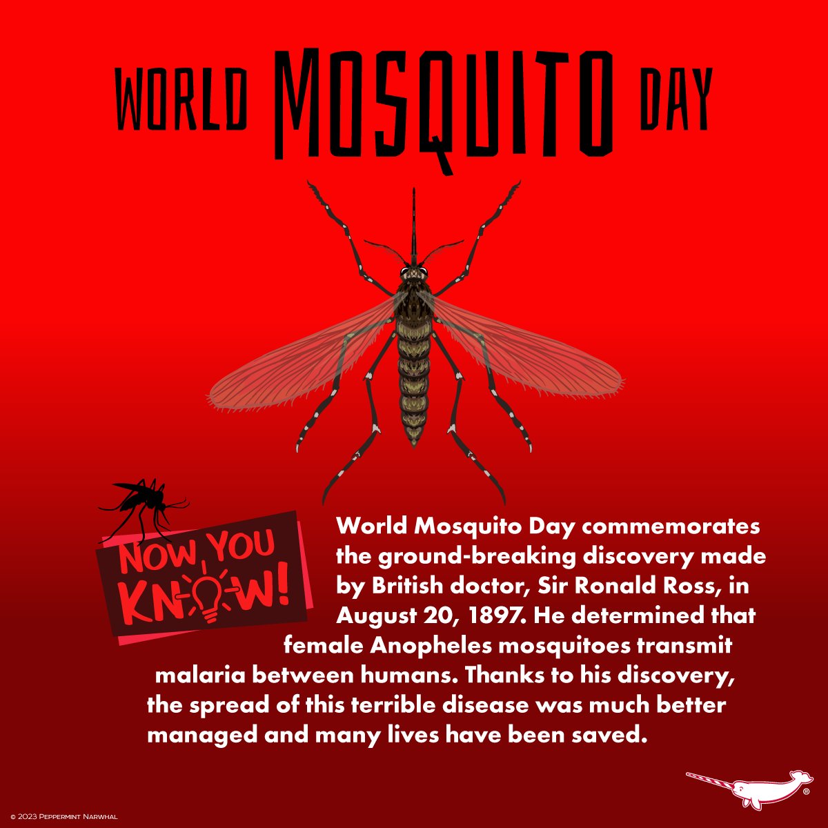 #WorldMosquitoDay 
#NowYouKnow #Mosquito 

SALE - 15% Off almost everything 
(excludes new releases)
Shop #PeppermintNarwhal: peppermintnarwhal.com
Sale ends August 25, 2024.

Int'l Shoppers visit our store on #Etsy:
etsy.com/shop/Peppermin…

#MosquitoDay