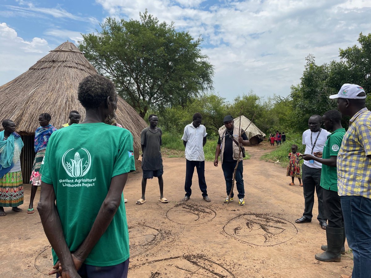 FAOSouthSudan's tweet photo. Focus group discussions were held with communities benefiting from #FAO’s Resilient Agricultural #LivelihoodsProject, to understand their capacities & perceptions of #Resilience related to #SeedSystems.
Crucial insights on challenges & opportunities were also gathered 💡 https://t.co/PPK3lk7gpN