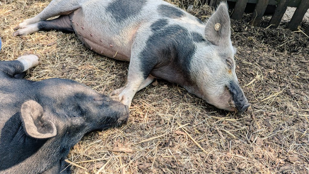 Katherine Nagle tweet media