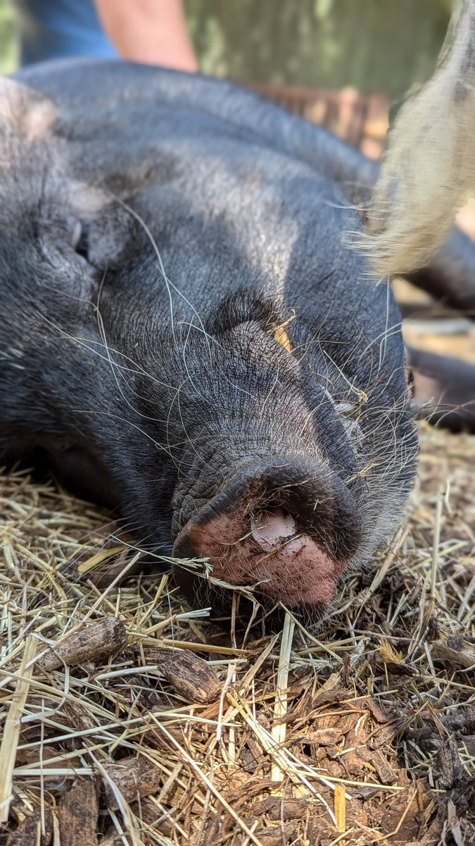 Katherine Nagle tweet media