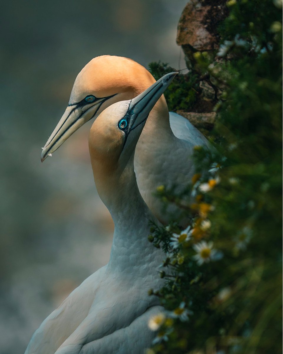 WorldPhotoOrg's tweet photo. These entries into the Open competition caught our eye this week: https://t.co/0xygTQ7y0l https://t.co/3KpDMstI7z