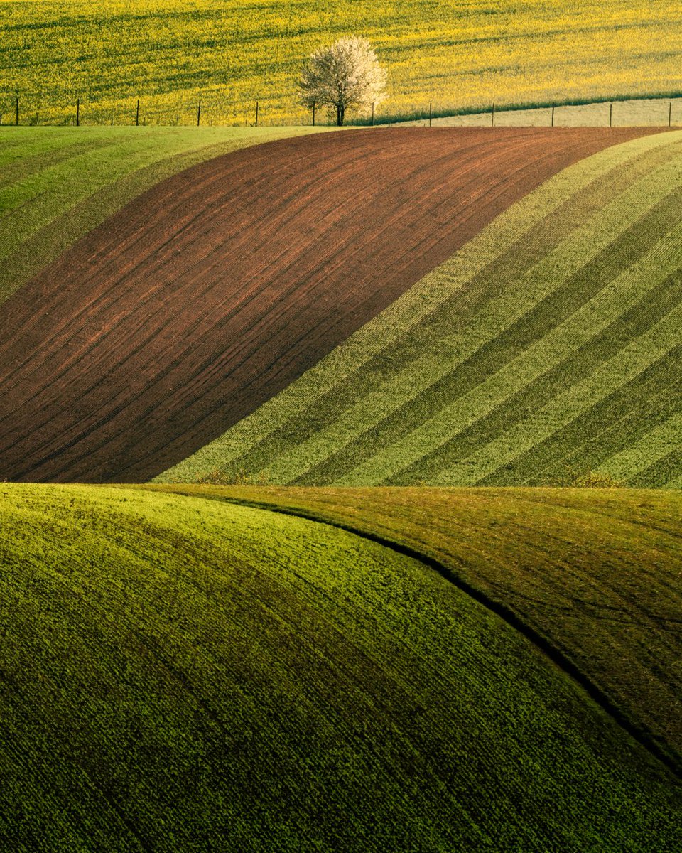WorldPhotoOrg's tweet photo. These entries into the Open competition caught our eye this week: https://t.co/0xygTQ7y0l https://t.co/3KpDMstI7z