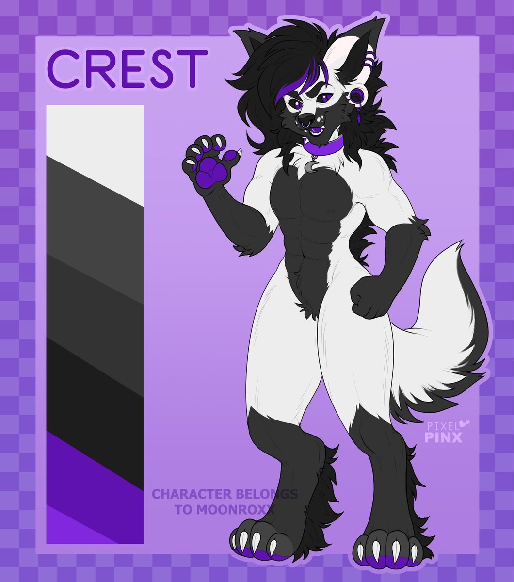 Purp 🌙 tweet media