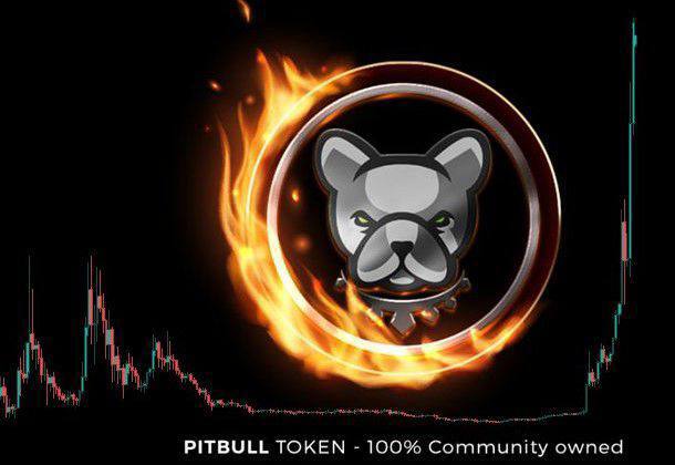 One of the most important features of Pitbull token is that it has no contract/liquidity access, it has web3 auto liquidity/burning/distribution feature. (Deflationist) 🔥

#BNB #Bitcoin #BTC #pitbulltoken #USDT <a href="/BNBCHAIN/">BNB Chain</a> $PIT <a href="/BscPitbull/">Pitbull Token</a>