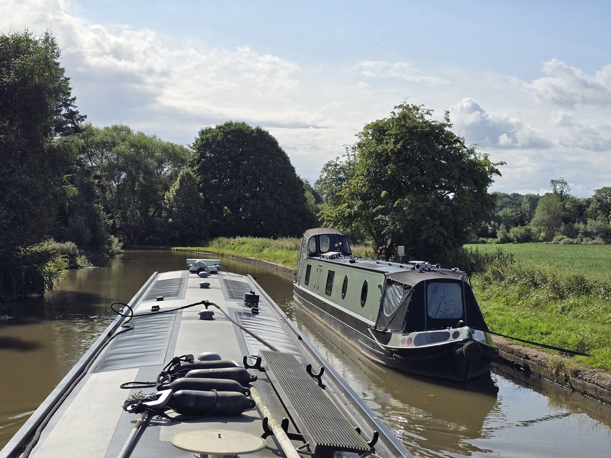 NB Goldi-Locks tweet media