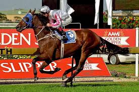 HORSERACING1002's tweet photo. MIGHT AND POWER🇳🇿1993
(ZABEEL - BENEDICTION BY DAY IS DONE)
#MightAndPower
B/ Windsor Park Stud🇳🇿 Oct 6,1993, Gelding.
O/ Nick Moraitis
T/ Jack Denham
33-15-7-1----$5,226,286
1997 Horse of the year 🇦🇺
1998 Hwt older horse 7-9.5f 🇦🇺& Horse of the year 🇦🇺
Show County Quality H, Frank Packer Plate G3, Melbourne Cup G1, Caulfield Cup G1, Chelmsford S G2, Yalumba S G1, AJC Queen Elizabeth S G1, VRC Queen Elizabeth S G2, The Mercedes Classic G1, Cox Plate G1, Hollindale Cup G2, Doomben Cup G1.
2nd Canterbury Guineas G1, Tramway H G3, Quality H G3, St George S G2, Ranvet S G1,
3rd C.F. Orr S G1.
Died Apr 11, 2020