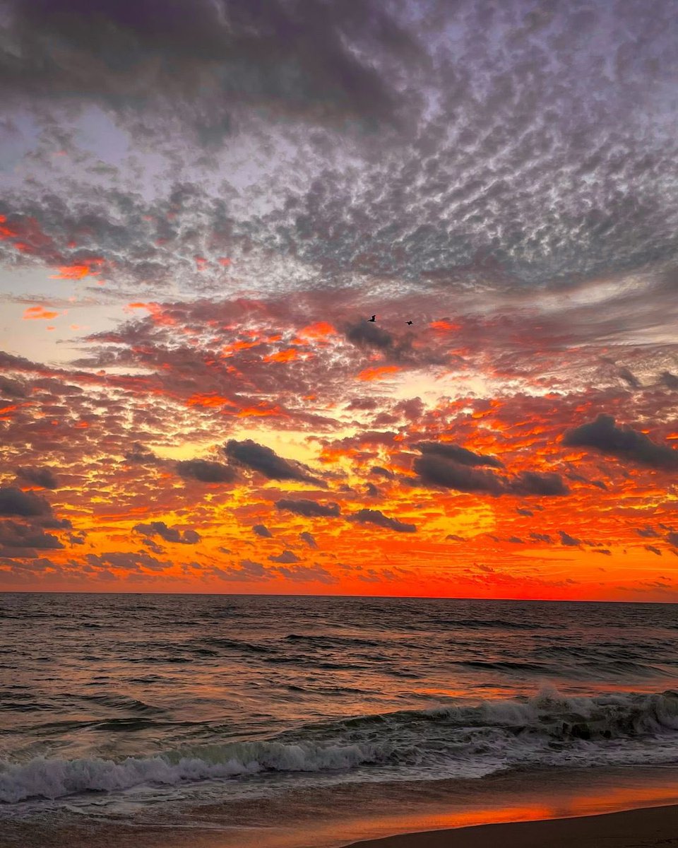 tmbIrpics's tweet photo. Sunset on beach 🏝️ https://t.co/AC8LHDT1Oo