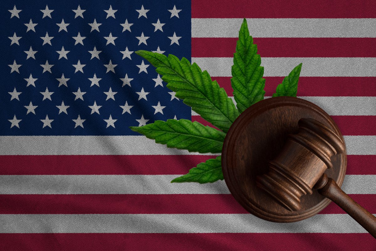 TheAchesonGroup's tweet image. #FederalLegalization of #Marijuana has continued to be a big question mark for American citizens. At this point, there isn’t a day in the future that predicts when or if cannabis will be fully legal. link.achesongroup.com/fed-marijuana-…

#ScheduleII #CBD #THC