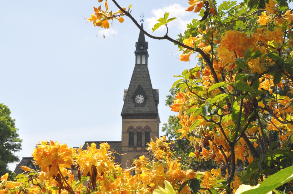 Thanks to the resounding success of the Take the Lead campaign, Hamline University will be able to implement improvements across campus life that will benefit all of our students.

For more on this story, visit: bit.ly/Take_The_Lead_…