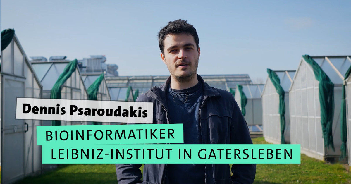 LeibnizWGL's tweet image. Mit #Bioinformatik gegen den Hunger.
Dennis Psaroudakis promoviert am @LeibnizIPK dazu, wie Tomaten auf veränderte Klimabedingungen reagieren. Sein Ziel: Pflanzen züchten, die der Hitze standhalten.
ow.ly/gZ1n50T1SJa
#Biotechnologie #Landwirtschaft #Ernährung #Studium