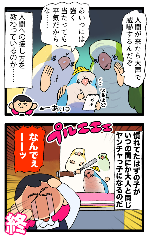 新入りちゃん、先輩インコちゃんに色々教わってるんだと思う🧐

1899 #えるポピの絵日記かくところ 