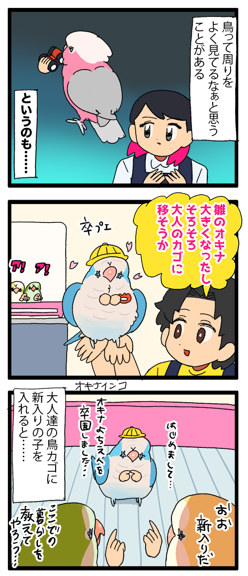 新入りちゃん、先輩インコちゃんに色々教わってるんだと思う🧐

1899 #えるポピの絵日記かくところ 